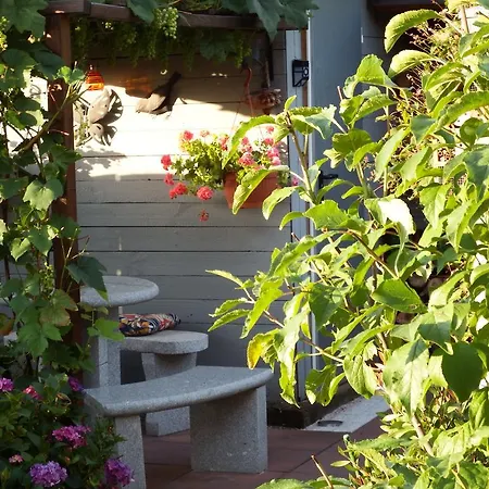 Ferienwohnung Georg Boppard Exterior foto